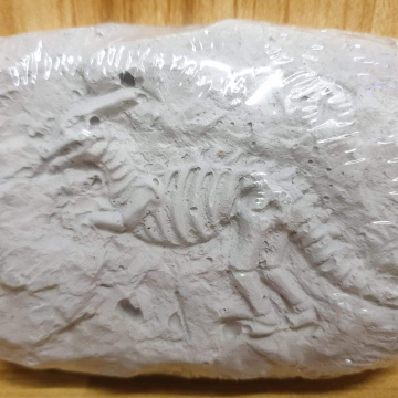 HOG33	Juguete de Fósil de dinosaurio mediano [Stegosaurus]